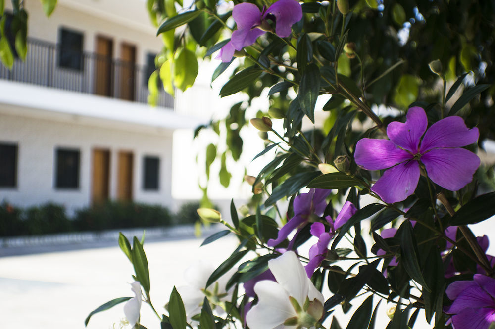 Hotel Villagio D'Italia Vinhedo Eksteriør bilde